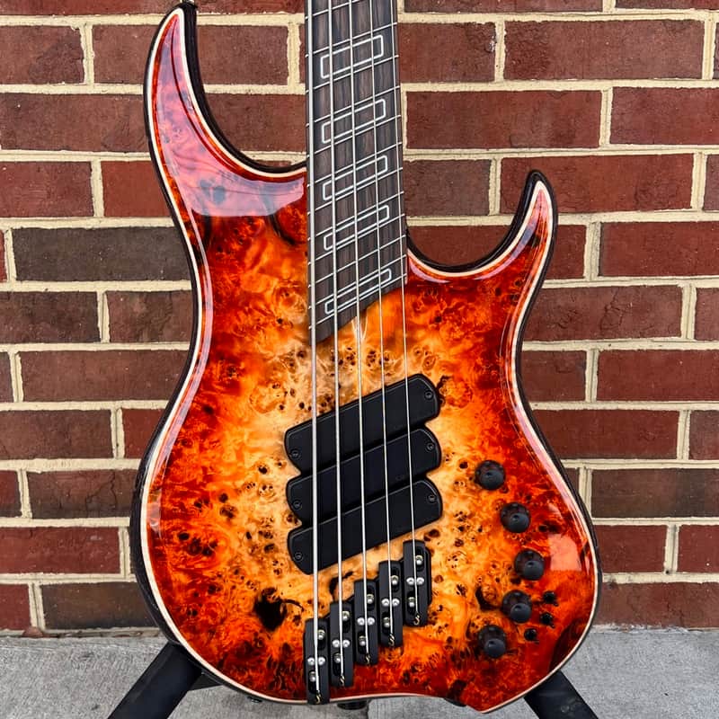 Dingwall Z3 5-String, Custom Color - Explosion Burst, Poplar Burl Top, Maple Contrast Layer, Dual Density Swamp Ash Body - Black Ceruse, Wenge Neck, Macassar Ebony Fretboard, Ghost Block Inlays, Luminlay Side Dots, Darkglass Tone Capsule w/ Toggles image 1