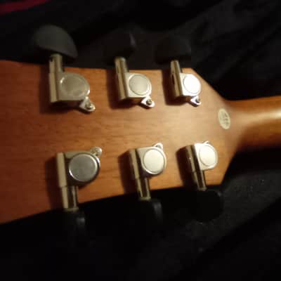 James Neligan DEV-D 2020 - Satin Finish image 9