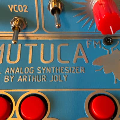 Reco-Synth Mutuca FM - Analog Synthesizer by Arthur Joly - Ultra Rare image 14