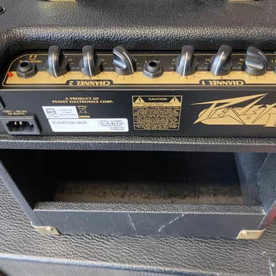 Peavey E20 Ecoustic 20W Acoustic Guitar Combo Amp image 3