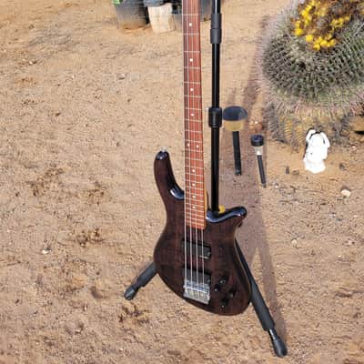 Spector Performer Early 2000's Transparent Brownish Gloss image 10