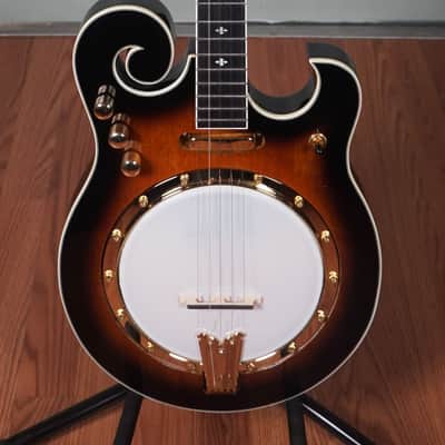 Gold Tone EBM-5 Electric Banjo image 2
