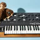 Clean Moog Prodigy monosynth 1979-84