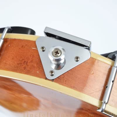 Barry Ford F-Style Bluegrass Mandolin image 21