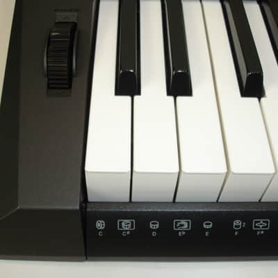 Casio CT-X5000 61-key Portable Arranger Keyboard image 6