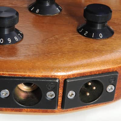 Wal MK II Custom IV fretless 1995 (lefthanded) image 9