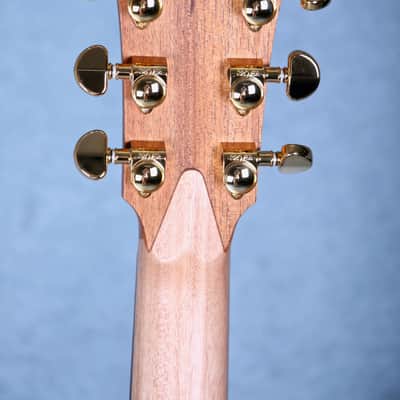 Cole Clark FL2EC-LS-BLBL R - Lloyd Spiegel Signature Series Fat Lady 2 Acoustic Electric Cutaway Guitar - 171134014 image 8