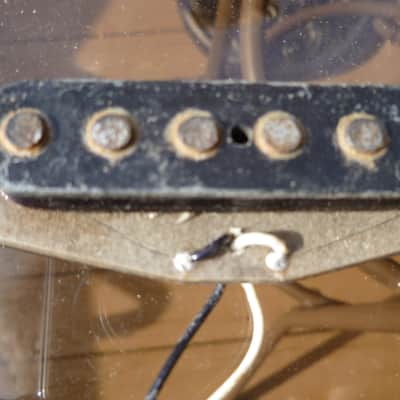 1976 Fender Stratocaster Pickup / Cover image 9