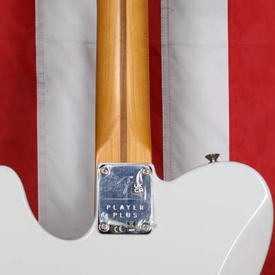 Fender Player Plus Telecaster with Pau Ferro Fretboard - Silver Smoke image 6