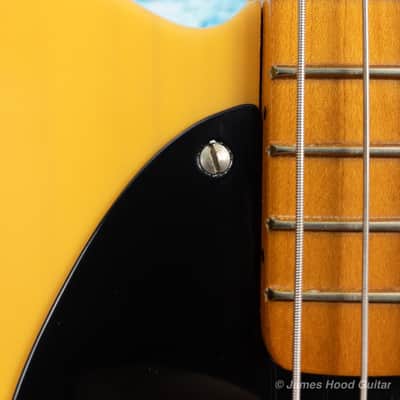 Fender Telecaster Signed By Bruce Springsteen 1996 Butterscotch Blond image 8