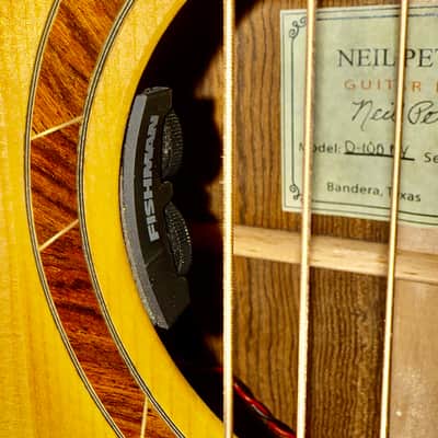 Peterson D-100 MY (2021) USA Handbuilt Boutique Acoustic Dreadnought - Fishman Matrix Infinity, OHSC image 5