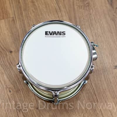 Pearl MLX 8x8 Tom - Ivory White image 8