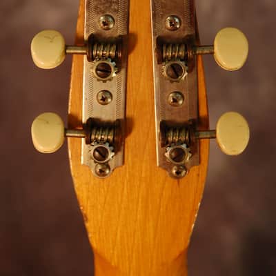 Silvertone by Danelectro Model 1304 Wishbook 1960 Brown Masonite image 6