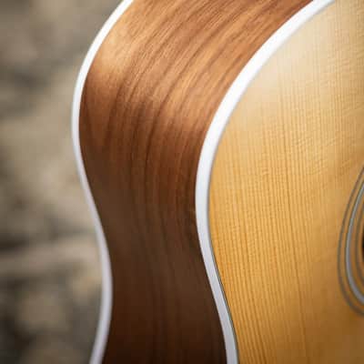 Taylor 210ce Dreadnought Acoustic/Electric Guitar with Gig Bag image 13