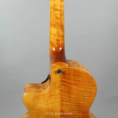 Fibonacci Martin Taylor Joya Signature Guitar - Antique Honey image 6