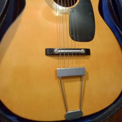 Atomic Guitar, High Gloss, Steel strings image 3