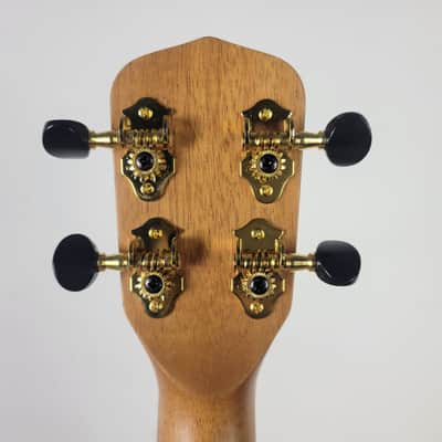 2022 Kala Curly Mango Concert Ukulele KA-MNGG-C image 4