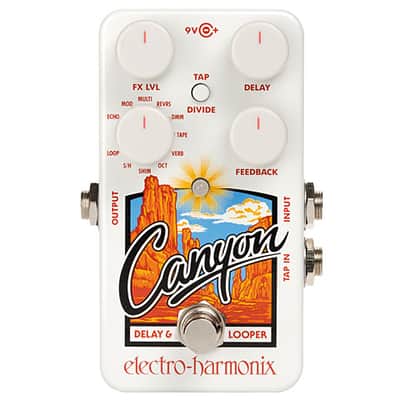Electro Harmonix Canyon image 1