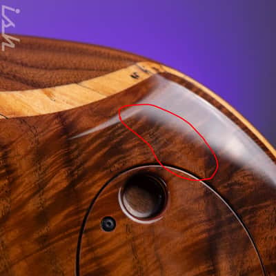 2006 Dingwall Prima Artist Claro Walnut image 14