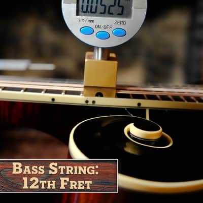 Gold Tone Grandmaster Mandolin Victorian #5279 image 17