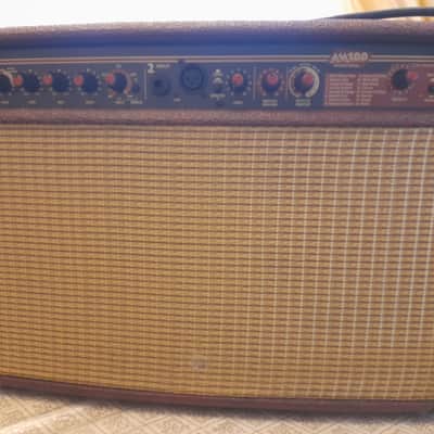Yorkville Acoustic Master AM100 - Wine Tolex image 12