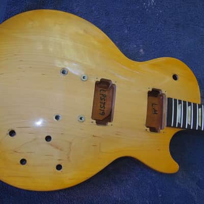 2008 Gibson Les Paul Studio Special HUSK U.S.A. image 3