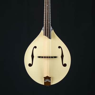 Collings MT Mandola Cream Gloss Top Adirondack Spruce and Flamed Maple NEW image 2