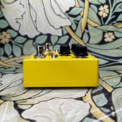 Benson Amps + Non-Human Audio Florist Yellow - Used image 4