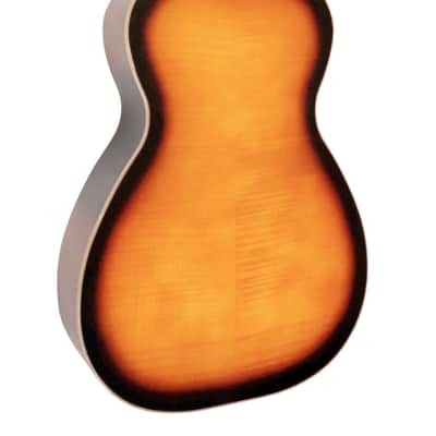 Gold Tone PBR-D Paul Beard Signature Series Resophonic Deluxe Roundneck Resonator Guitar w/Hard Case image 2