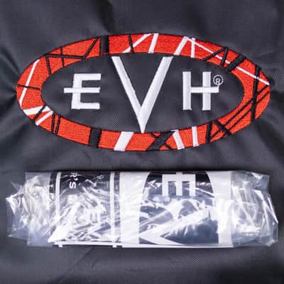 EVH Limited Edition Wolfgang Special Striped Series Electric Guitar - Distressed Ivory image 19
