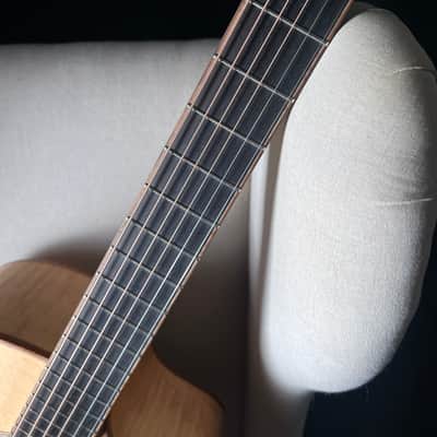 Lowden Alex DeGrassi Signature Model De Grassi F50 image 13