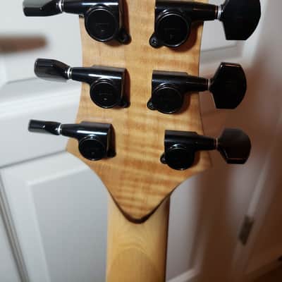 Jerry Garcia type Wolf Guitar handmade in USA  by Troy Post Guitars image 12