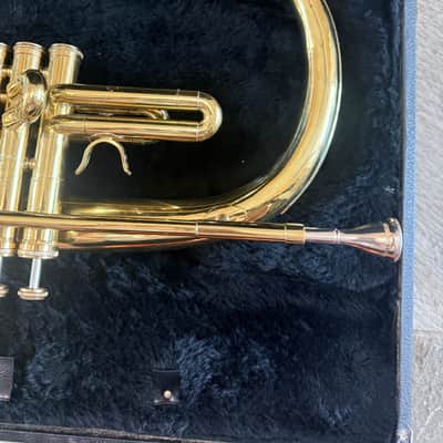 Marching French horn, Dynasty brand image 4