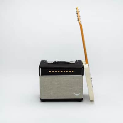 Magnatone Baby M-80 1x10 Combo image 8