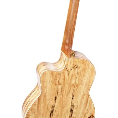 Ortega Signature Series Thomas Zwijsen Acoustic-Electric Nylon Classical Guitar w/ Bag image 6