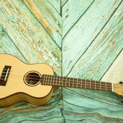 Cordoba 24C Concert Ukulele image 4