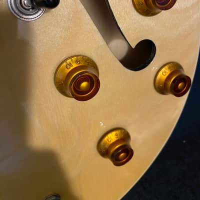 Epiphone Dot 2013 image 21