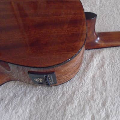 Ibanez ANV9SPE-NT Parlor Guitar natural, demo image 6