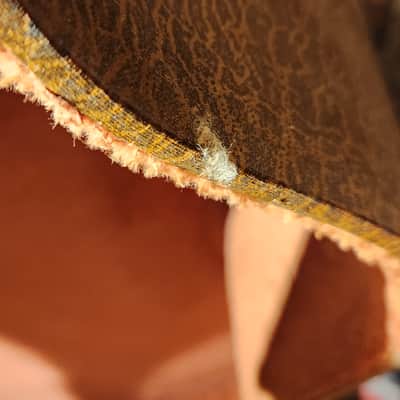 Vintage '50s Lifton Archtop Guitar Case image 11