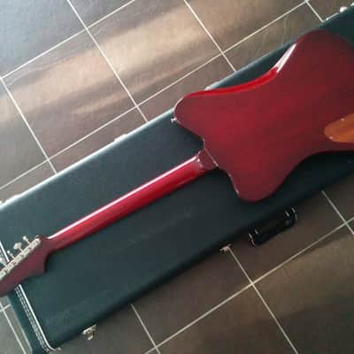 Echopark Ghetto Bird 2016 Case Study 2016 w/OHSC New Condition image 2