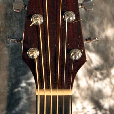 BREEDLOVE PRO SERIES C25/CRH, ACOUSTIC ELECTRIC image 5