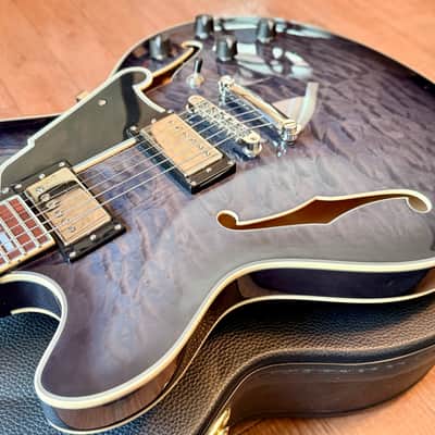 D’Angelico Excel DC – Charcoal Burst – Semi-Hollow – w/ Hard Case + Tags – Excellent image 8