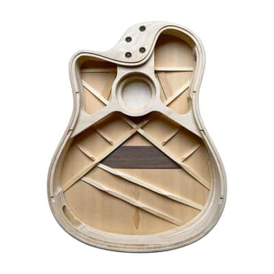 L.R.Baggs AEG-1 - Acoustic Guitar image 5