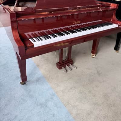 Immagine Boston GP163 2023 - Polished Mahogany - 3