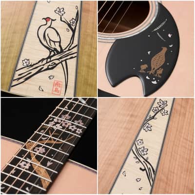 Headway HD-SAKURA'26/ATB 萌桜[Dreadnought Shape][Limited to 12] [Made in Japan]  2026 - Gloss image 8