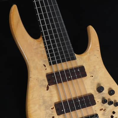 FODERA Anthony Jackson Contrabass Guitar AJ6 [SN JCG969] (01/29) image 13