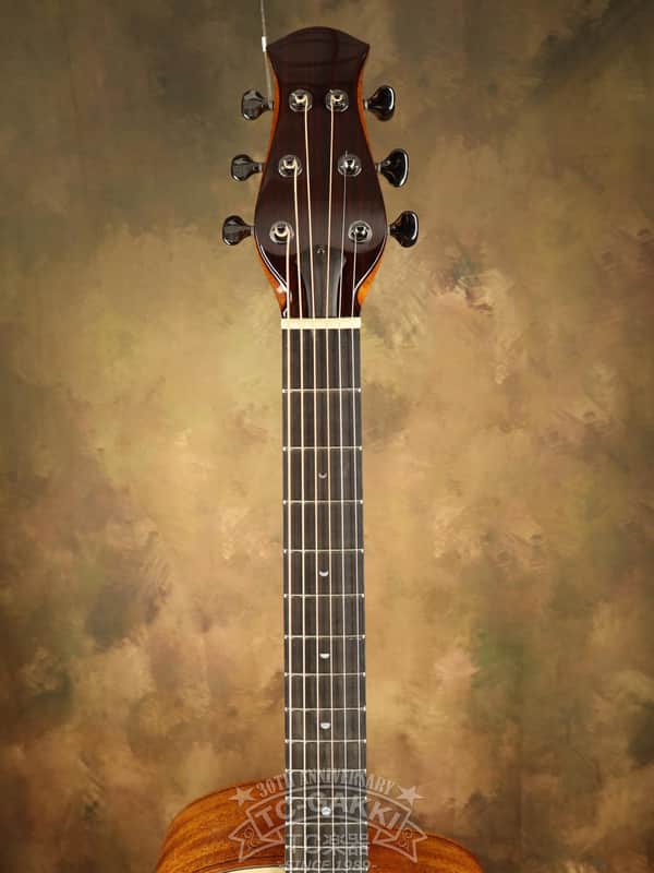 2020's aNueNue LS500 Designed by Sugita Kenji | Reverb