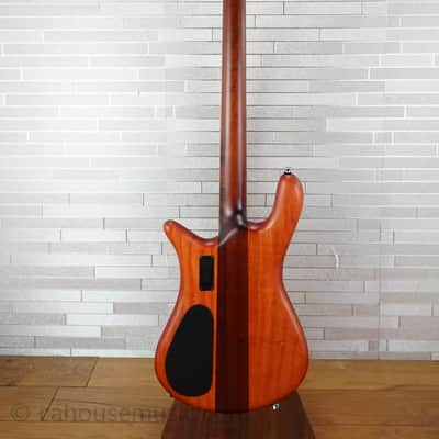 Spector Euro 4 RST - Sienna Stain image 15