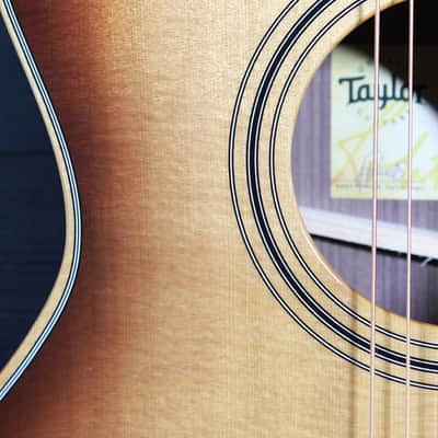 Taylor 414ce Studio SEB Shaded Edgeburst Acoustic-Electric Guitar | Solid Wood Grand Auditorium image 18