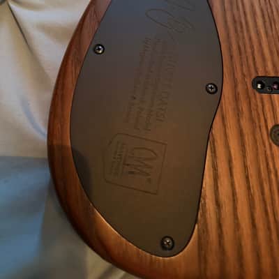 Mayones Duvell Qatsi 1.0 John Browne Signature 7 String 2018 - Juice Burst image 7